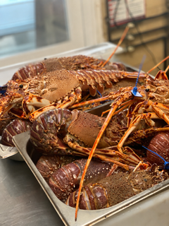 Langouste - Bretagne - AUBERGE DE LA VIEILLE EGLISE